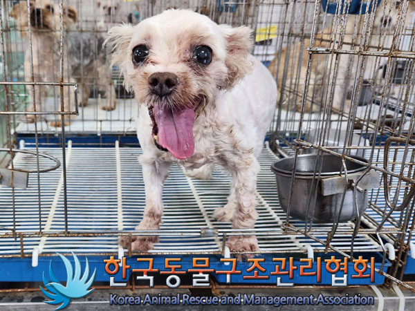 한국동물구조관리협회_411301202300375